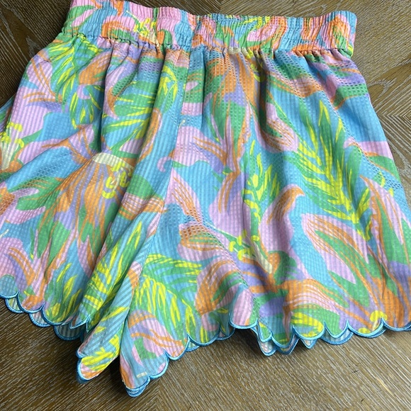 ALDEN ADAIR Celine St Barts Shorts S - Picture 10 of 14